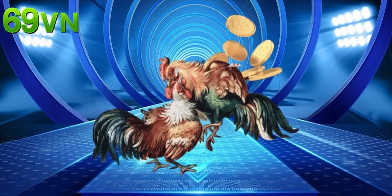 Sân chơi đá gà có tính linh hoạt cao